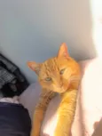 Peter