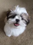 Tina