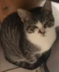 Tom
