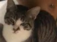 Tom