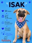 Isak