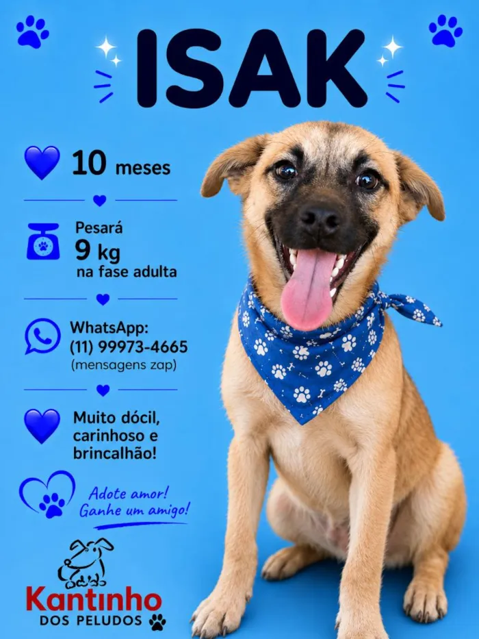 Cachorro raça SRD-ViraLata idade 7 a 11 meses nome Isak