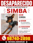 Simba