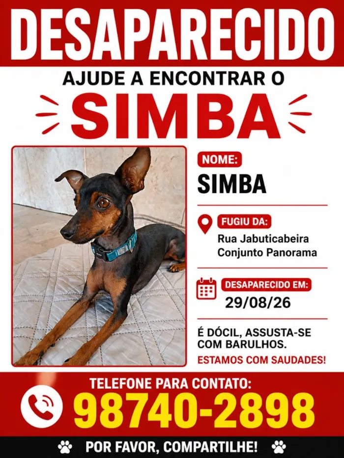 Cachorro raça Pinscher idade 3 anos nome Simba