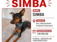 Simba