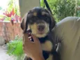 Marley