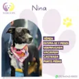 Nina