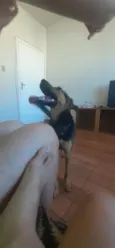 Mel