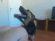 Mel