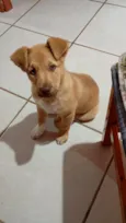 Fred