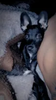 Lupita 