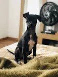 Lupita 