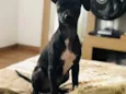 Lupita 