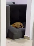 caramela