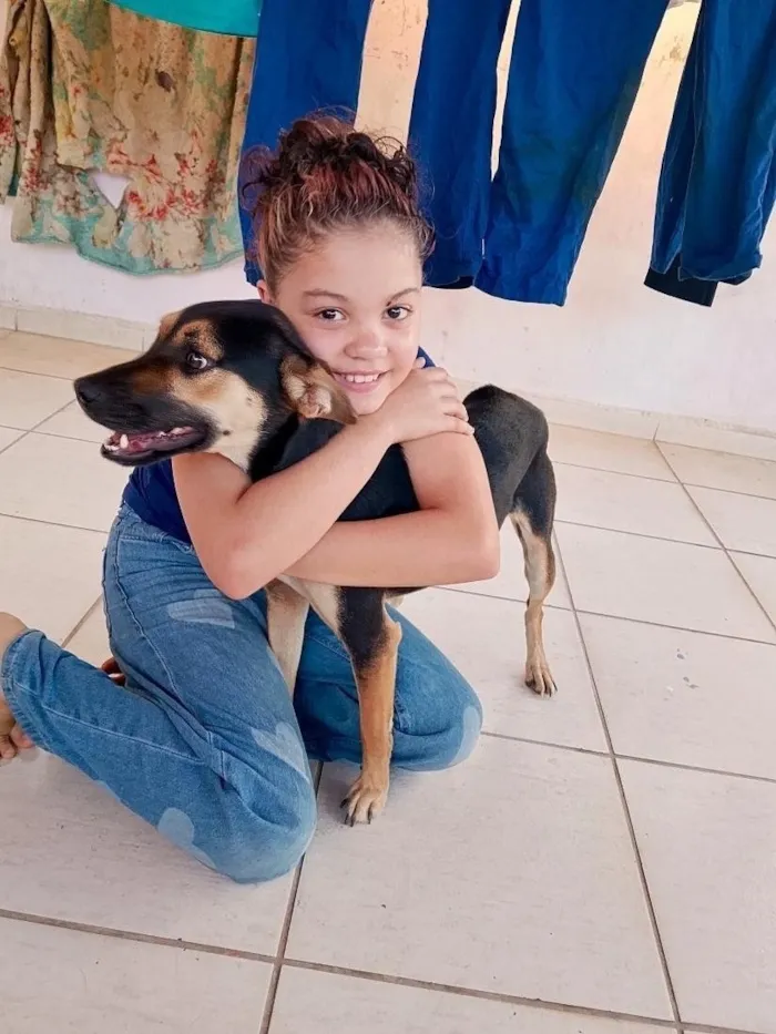 Cachorro raça SRD-ViraLata idade 2 anos nome Hulk