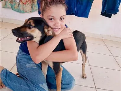 Cachorro raça SRD-ViraLata idade 2 anos nome Hulk