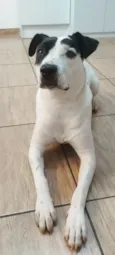 Bruce 