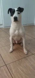 Bruce 