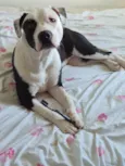 Kiara