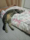 milton