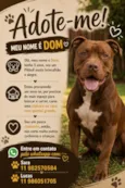Dom
