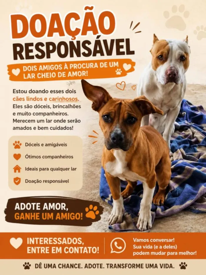 Cachorro raça SRD-ViraLata idade 1 ano nome Beethoven, Pretinha