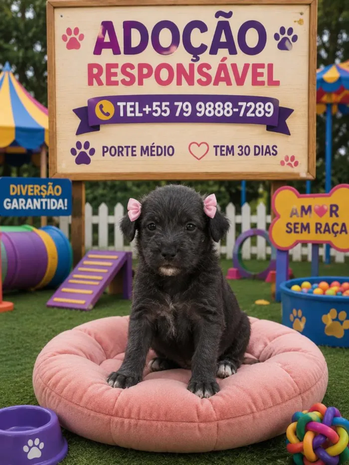Cachorro raça SRD-ViraLata idade Abaixo de 2 meses nome filhote