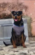 Duque