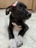 Gwen