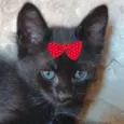 Ágata 