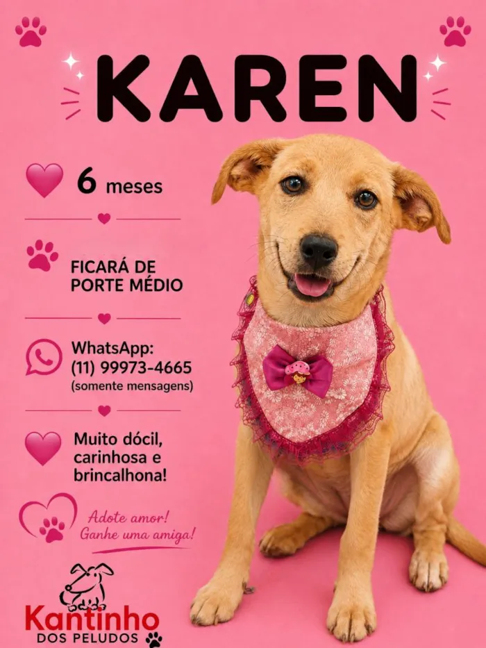 Cachorro raça SRD-ViraLata idade 2 a 6 meses nome Karen