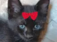 Ágata 