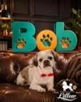 Bob