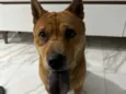 Dora