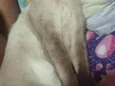 simba