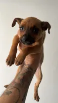 Titio 