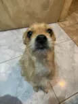 Bia