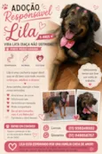 Lila