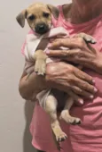 Nina 
