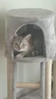 Mimi e Dom