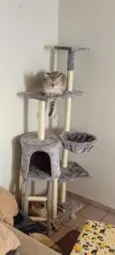 Mimi e Dom