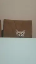 Mimi e Dom