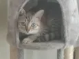 Mimi e Dom