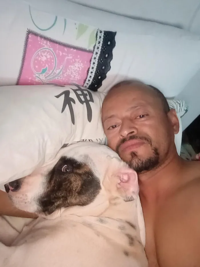 Cachorro raça SRD-ViraLata idade 1 ano nome Betovy