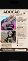 Chamo ele de pequeno 