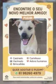 Pudim