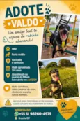Valdo