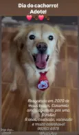 Caramelo
