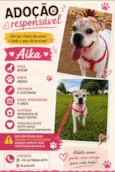 Aika