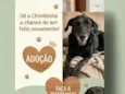 Chimbinha